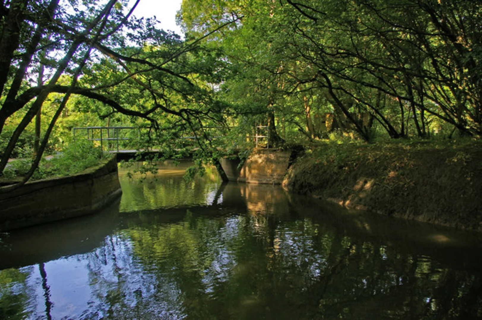 An image depicting the trail Dawesgreen Circular Walk and its surrounding area.