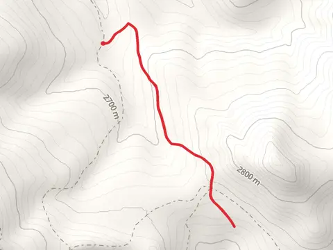 Grizzly Park Trail