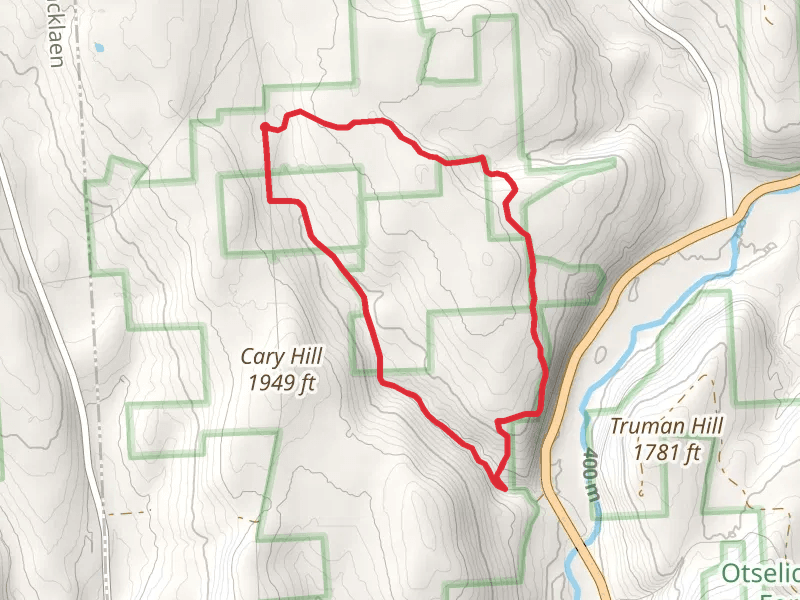 Bucks Brook Loop Trail - Ridge Road