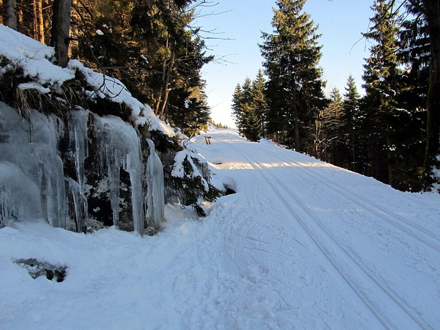 An image depicting the trail Kleiner Oderberg and Mariechenweg Loop and its surrounding area.
