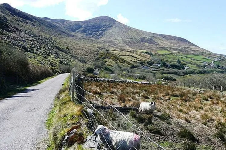 Beenmore Loop via The Kerry Way
