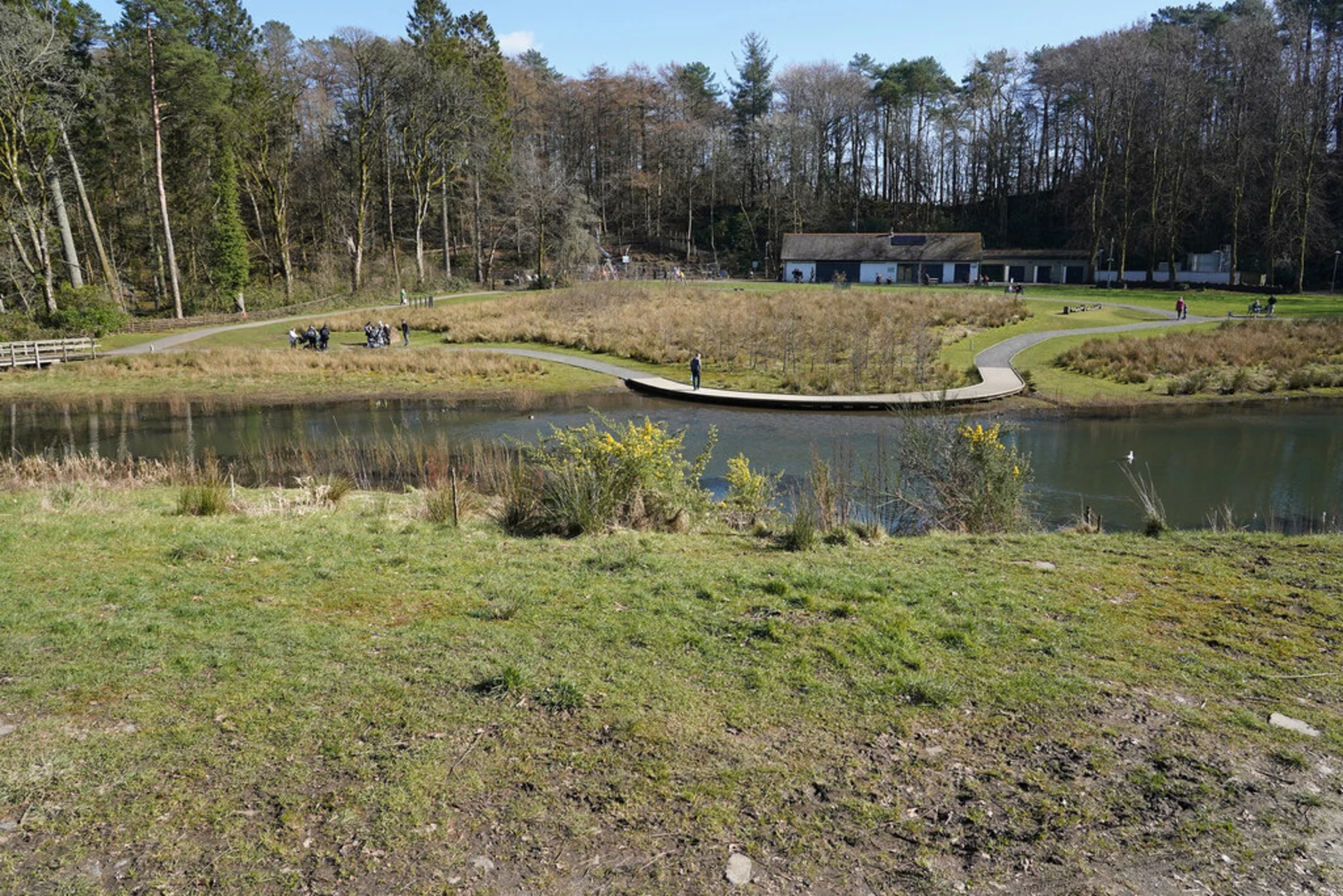 An image depicting the trail Dean Castle Country Park Walk and its surrounding area.