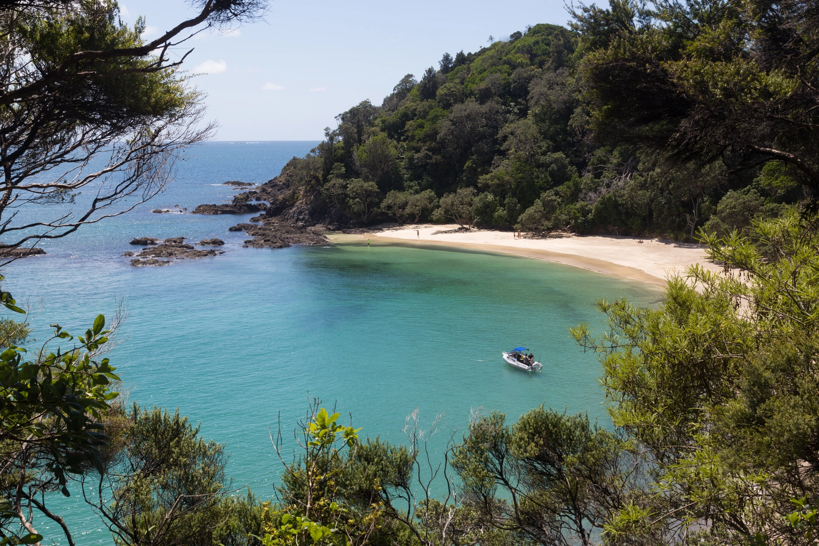 An image depicting the trail Whale Bay Loop Track and its surrounding area.