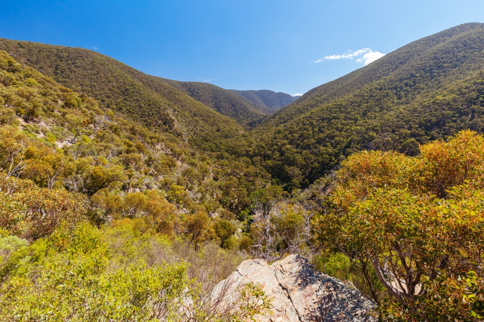 An image depicting the trail The Scenic Rim and River via Link 1 and its surrounding area.