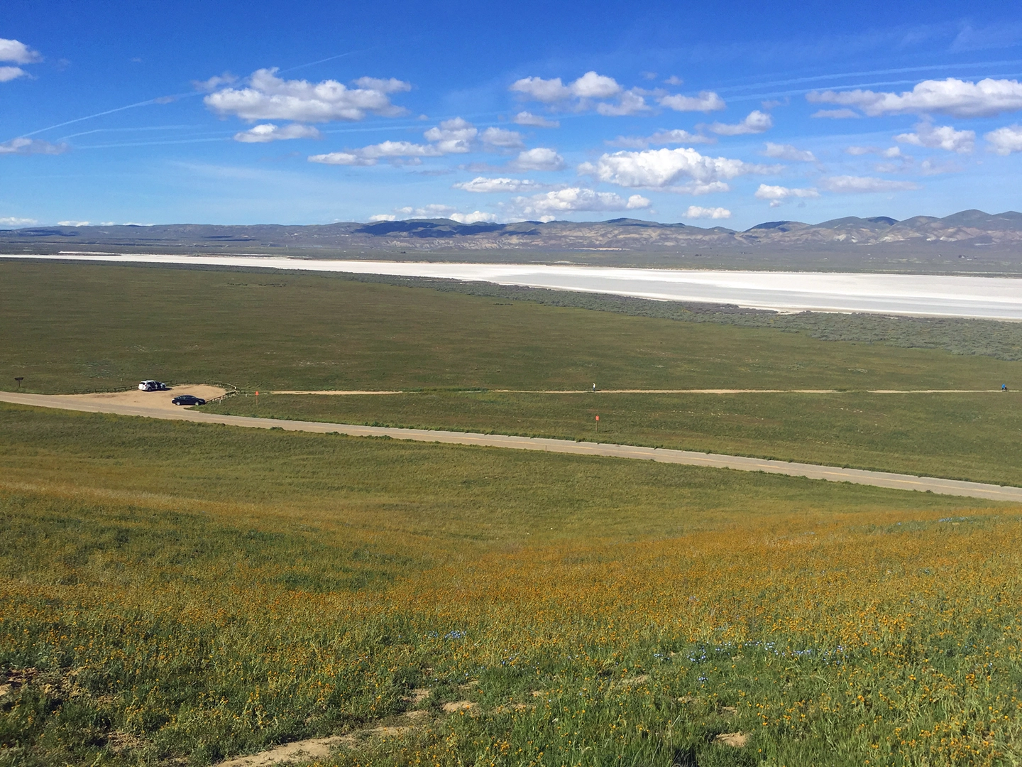 An image depicting the trail Soda Lake Overlook and Soda Lake Boardwalk and its surrounding area.