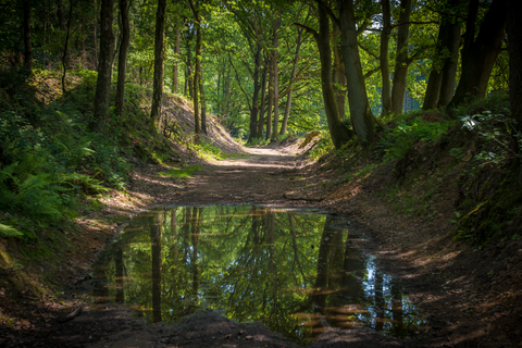 Kraaijenberg and Landgoed Heuven Loop