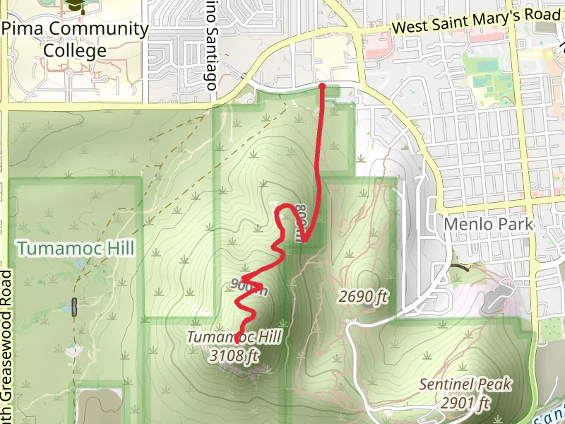 Tumamoc Hill