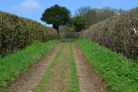 Preston Oak Hills and Three Castles Path