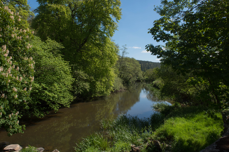 Ridge and Valley Walk - Little Dart