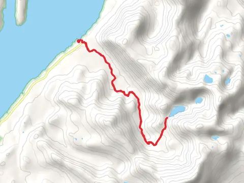 Lunch Creek Trail