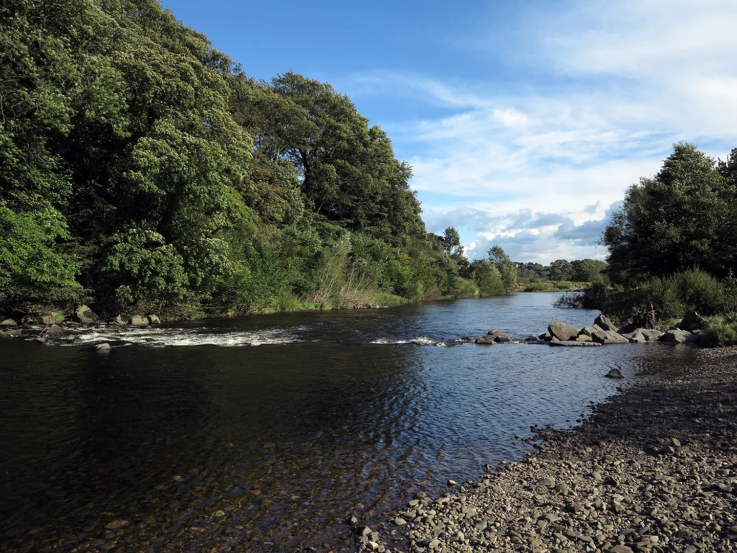 An image depicting the trail Wilton Park Loop and its surrounding area.