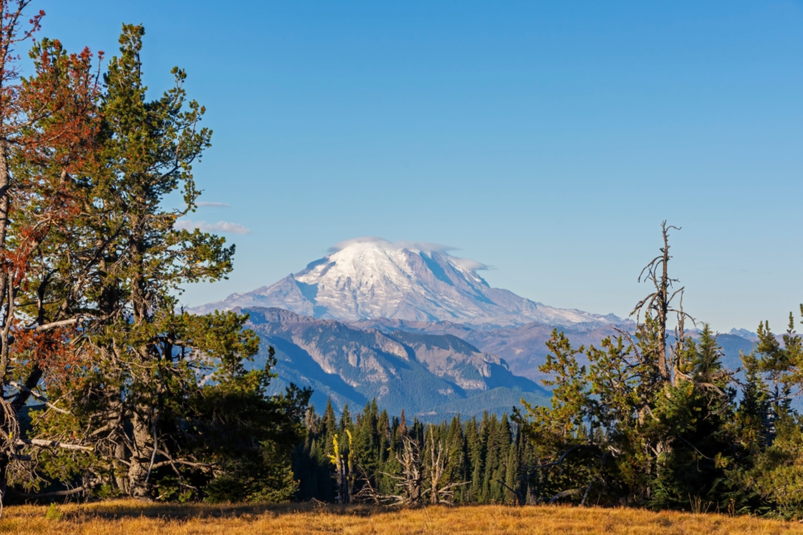 An image depicting the trail Tumac Trail via Twin Sisters Trail and its surrounding area.