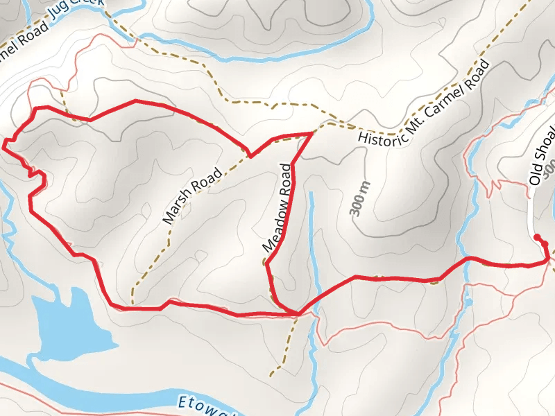 Jug Creek Loop from Johnson Trail