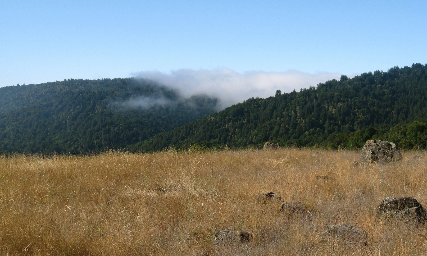 An image depicting the trail Upper Miller Trail and Merry Go Round Trail and its surrounding area.