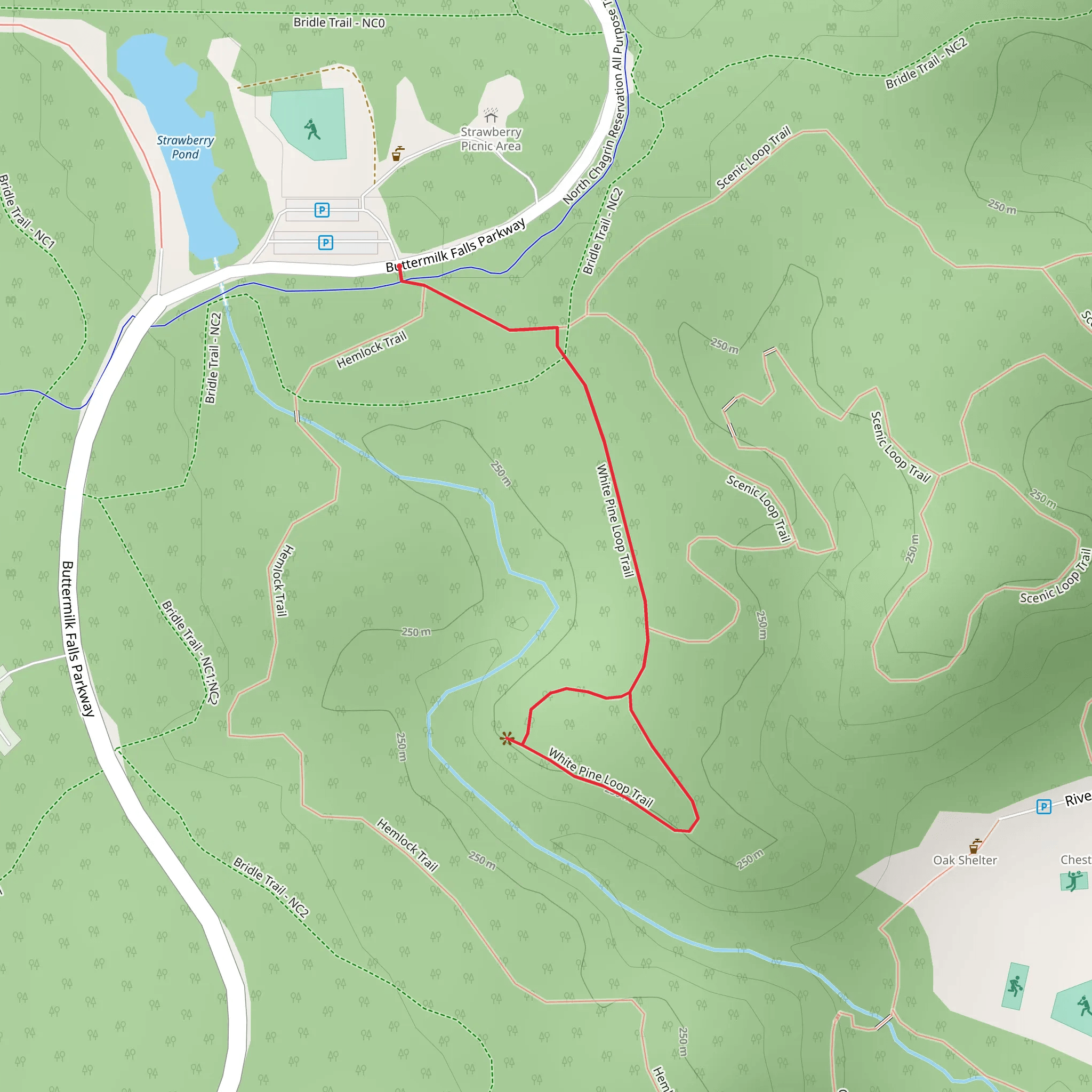 White Pine Loop Trail from Buttermilk Falls Parkway mobile static map