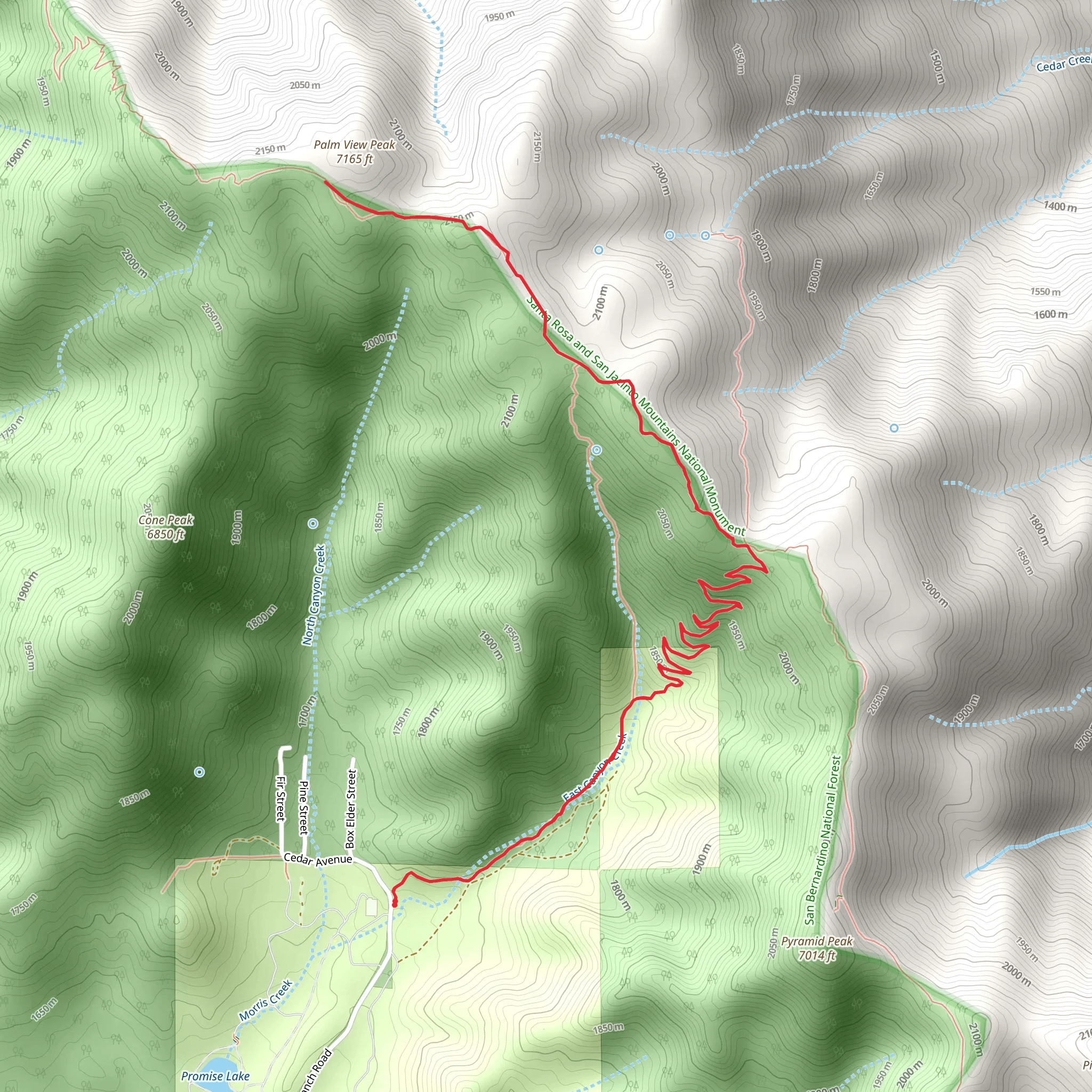 Palm View via Cactus Springs Trail mobile static map