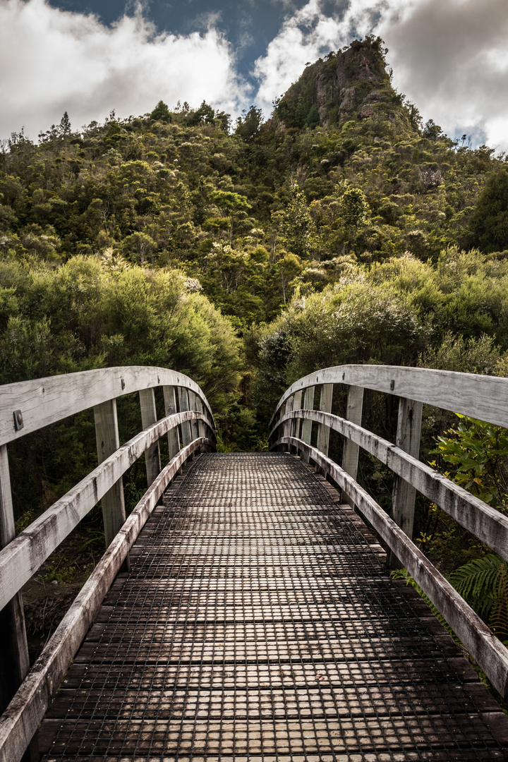 An image depicting the trail Kauaeranga Kauri Trail - Pinnacles Walk and its surrounding area.