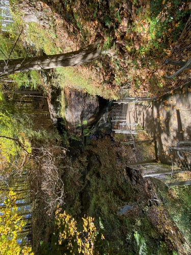 Valley Brook Road Trail