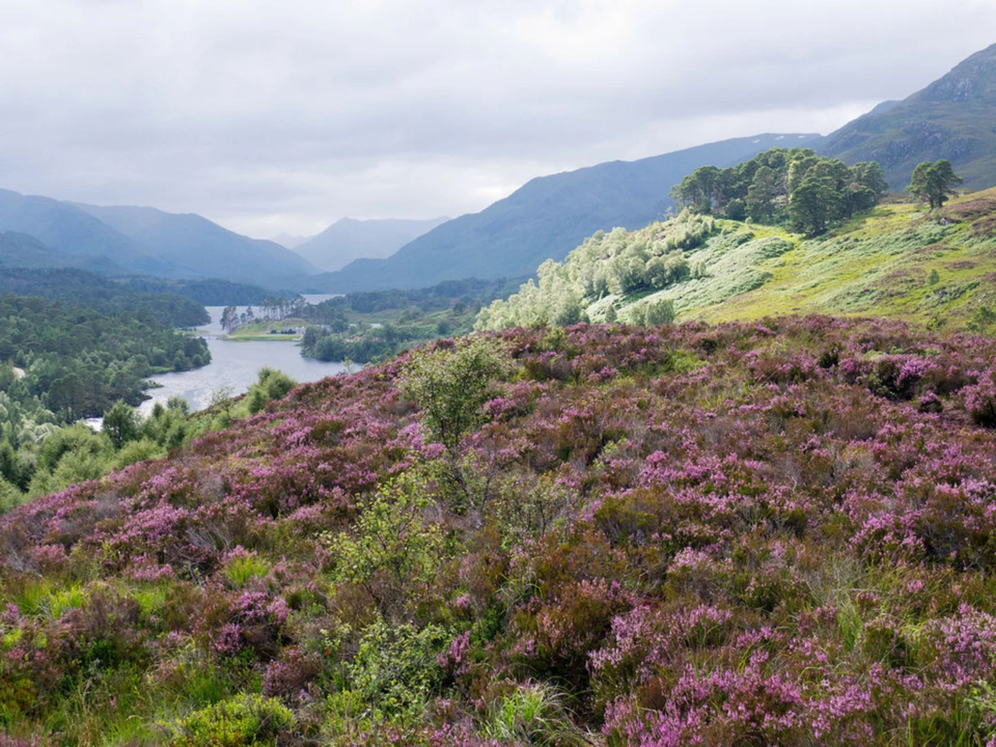 An image depicting the trail Garbh Uisge Loop River Trail and its surrounding area.
