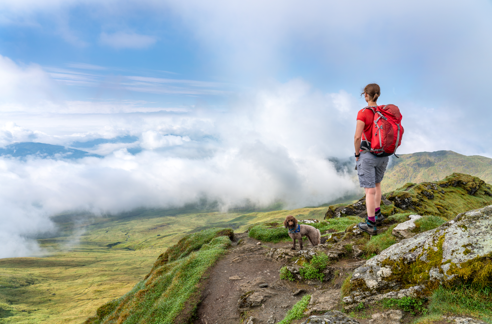 An image depicting the trail Famous Highland Drove Walk and its surrounding area.