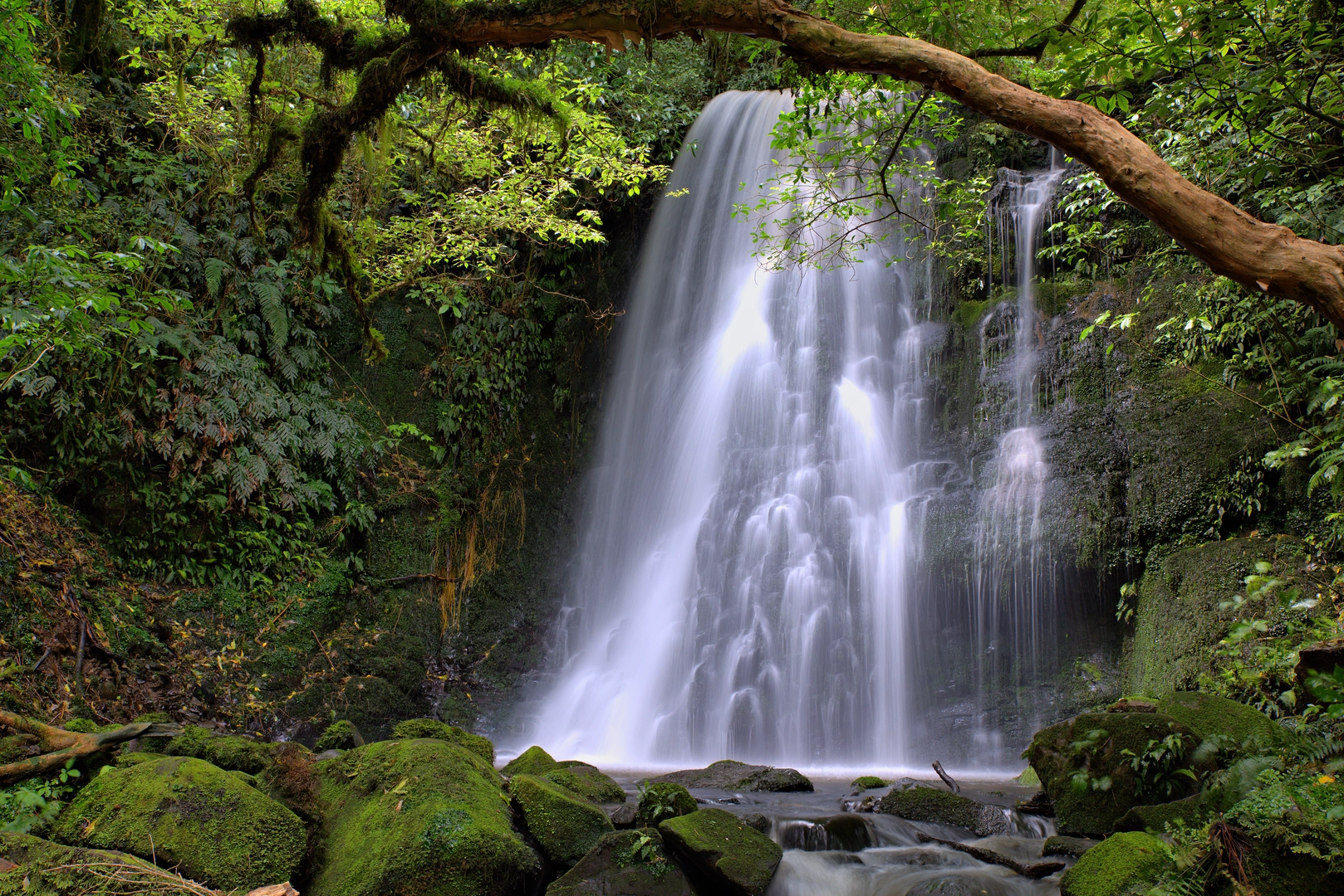 An image depicting the trail Matai Falls Walk and its surrounding area.