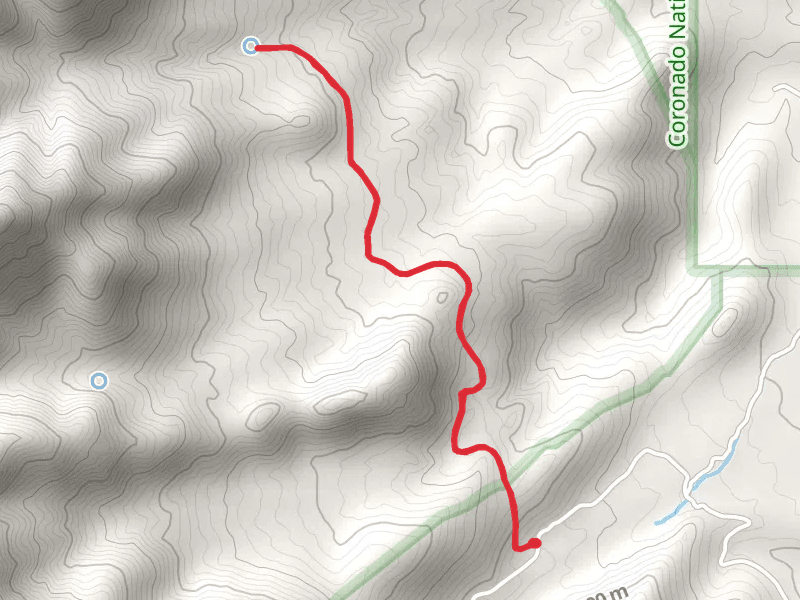 Rincon Spring Trail