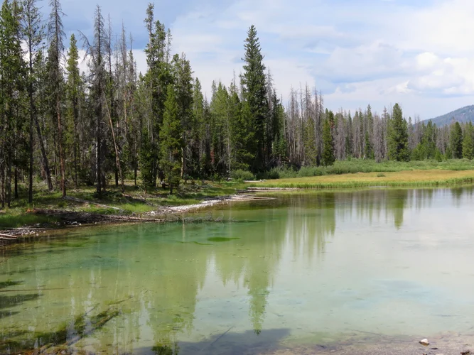 Elk Lake Trail