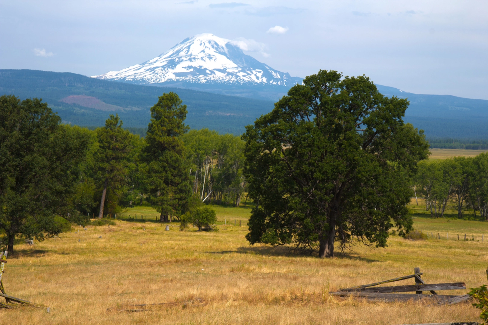 An image depicting the trail Wapiki Lake Trail and its surrounding area.