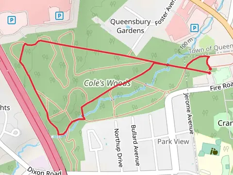 Halfway Brook in Cole's Woods