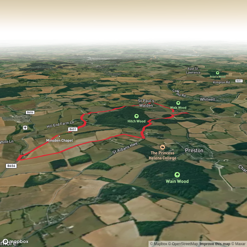 Hitch Wood and Minsden Chapel Loop
