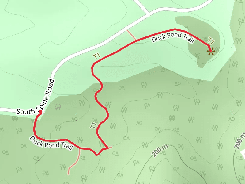Duck Pond Trail