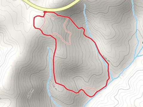 Burnt Mountain Champion Trail
