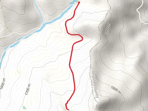 Rough Trail Trace found 2019