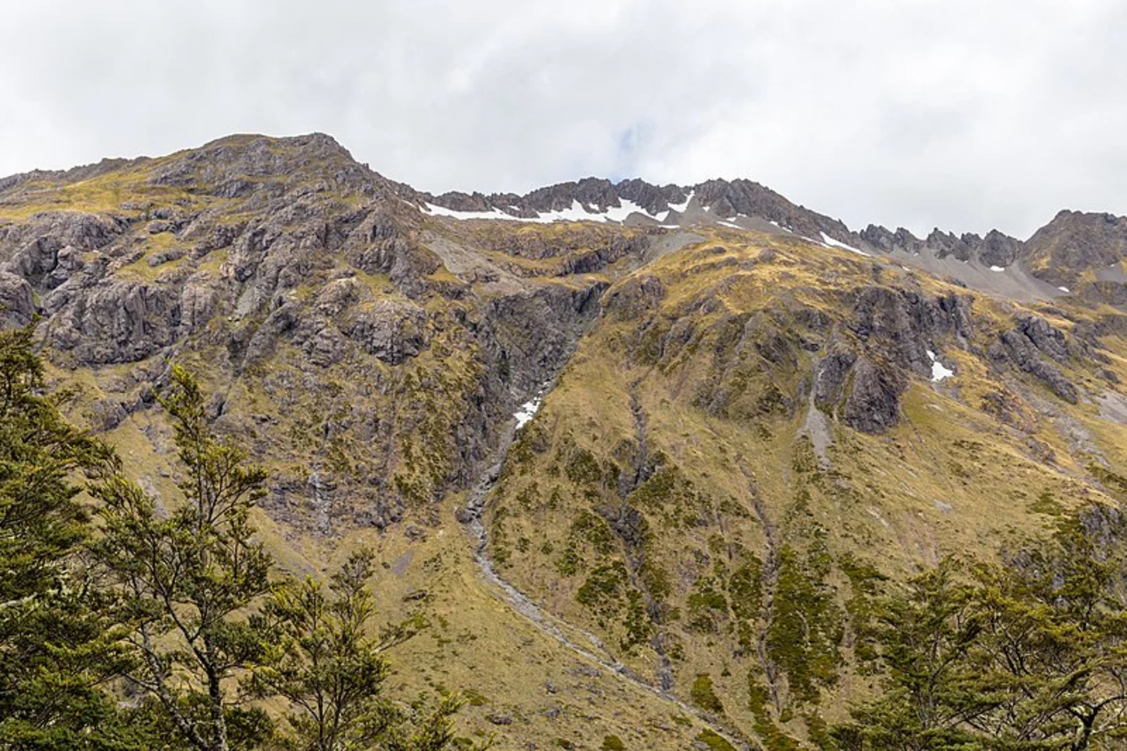 An image depicting the trail Lewis Tops Track and its surrounding area.