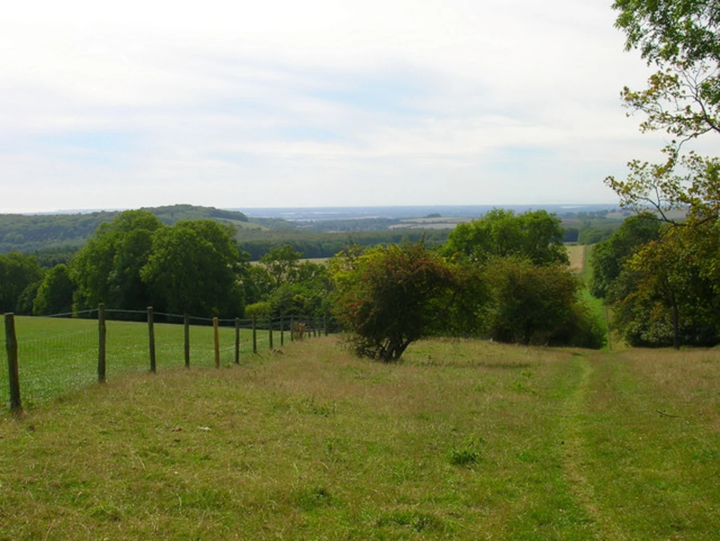 An image depicting the trail Great Down Loop and its surrounding area.