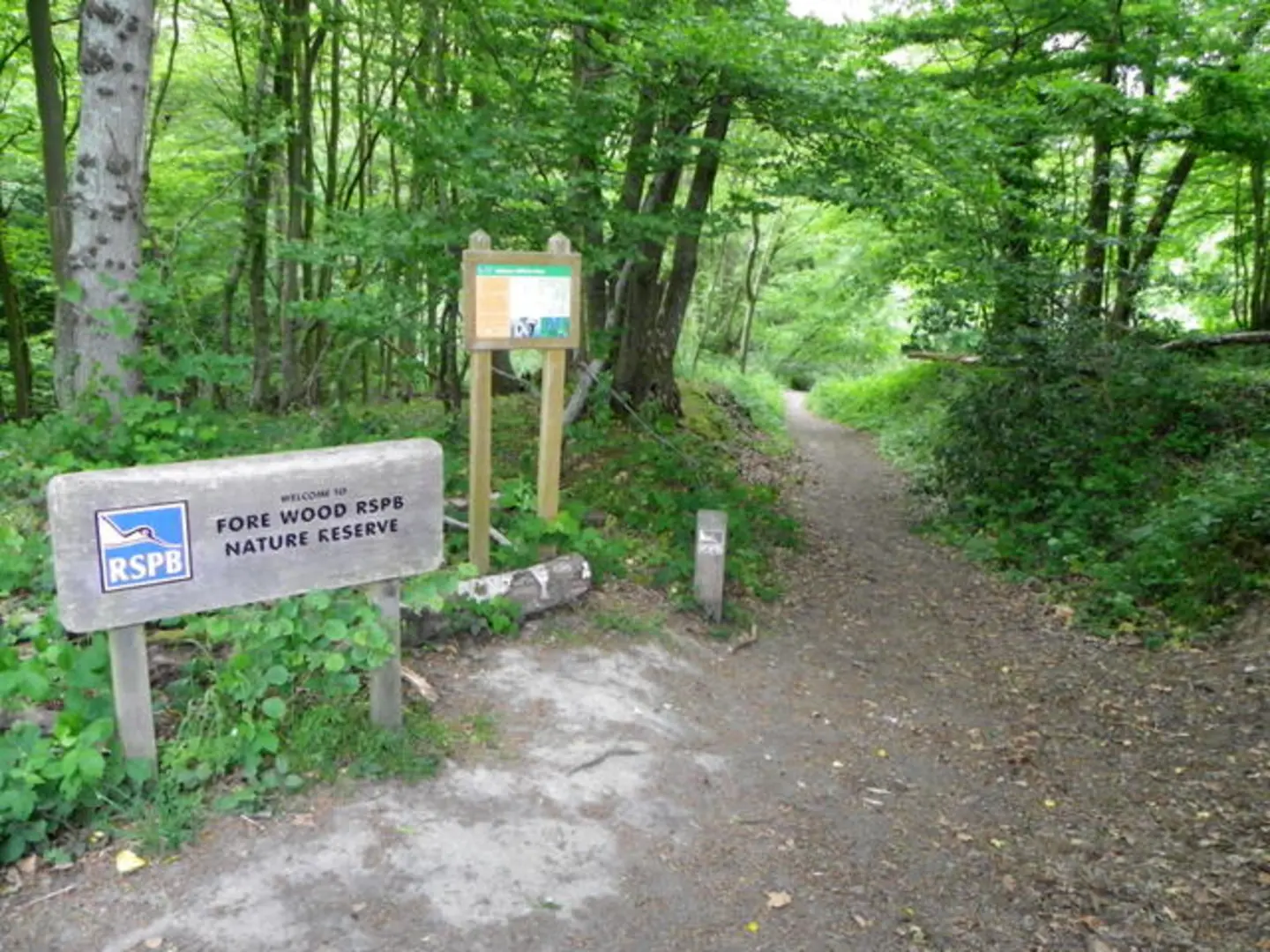 An image depicting the trail Fore Wood Nature Reserve Loop - Crowhurst and its surrounding area.