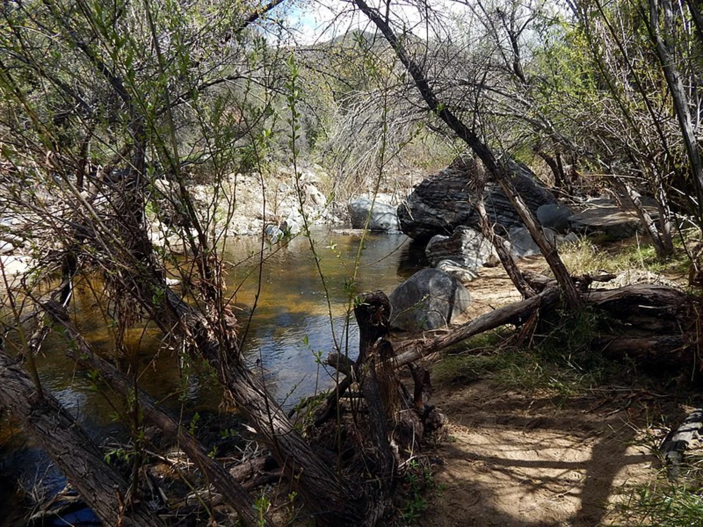 An image depicting the trail Tenaja Falls Trail and its surrounding area.