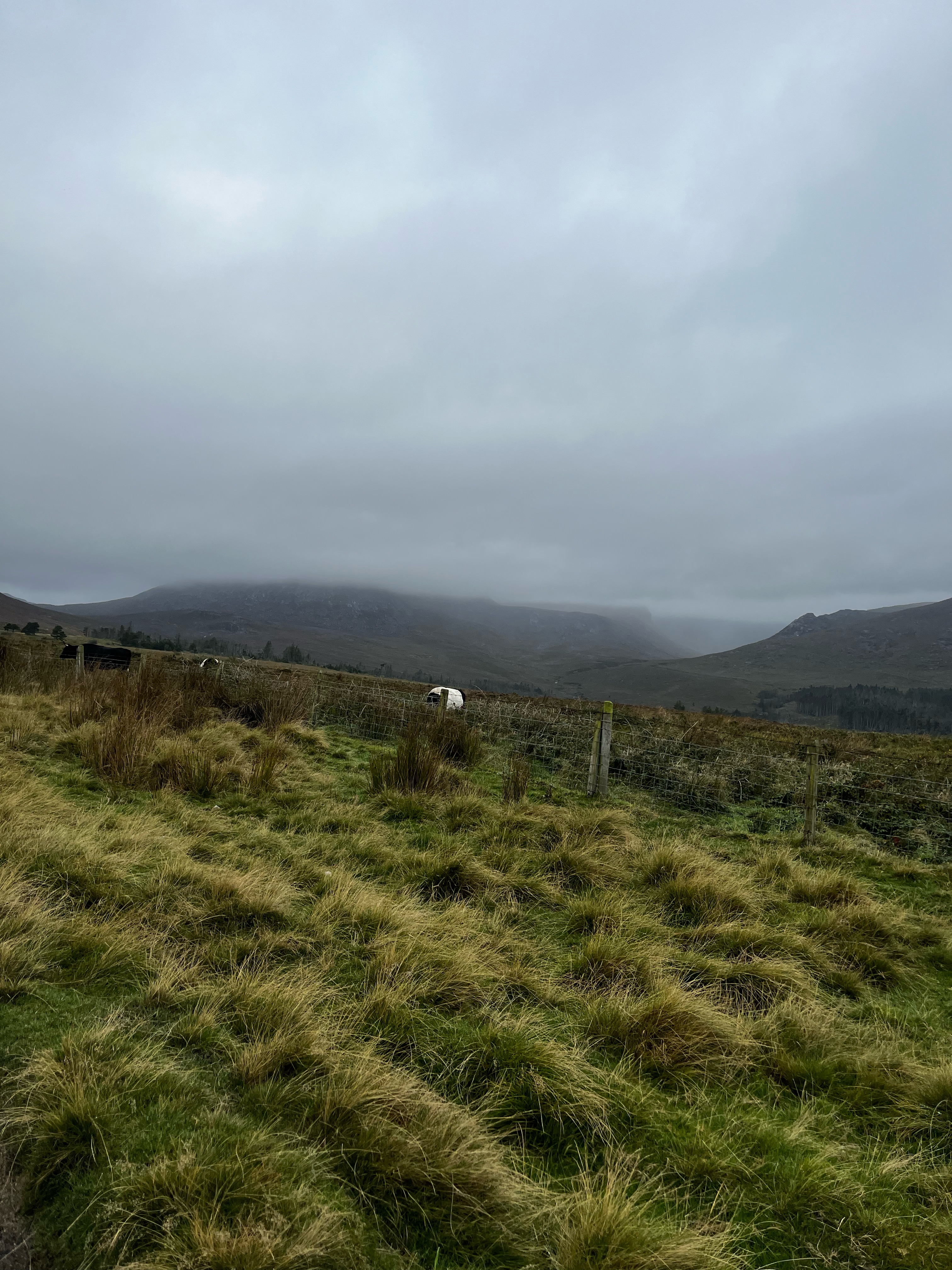 A map preview of the recording Misty Slieve Binnian Loop.