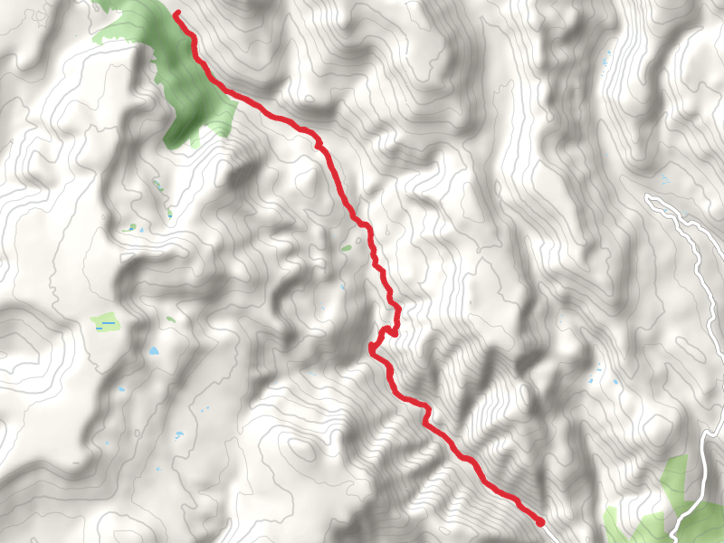 Miners Creek Trail
