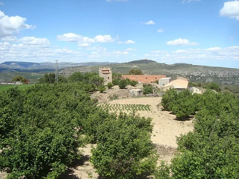 Cova del Bovalar PR CV 297