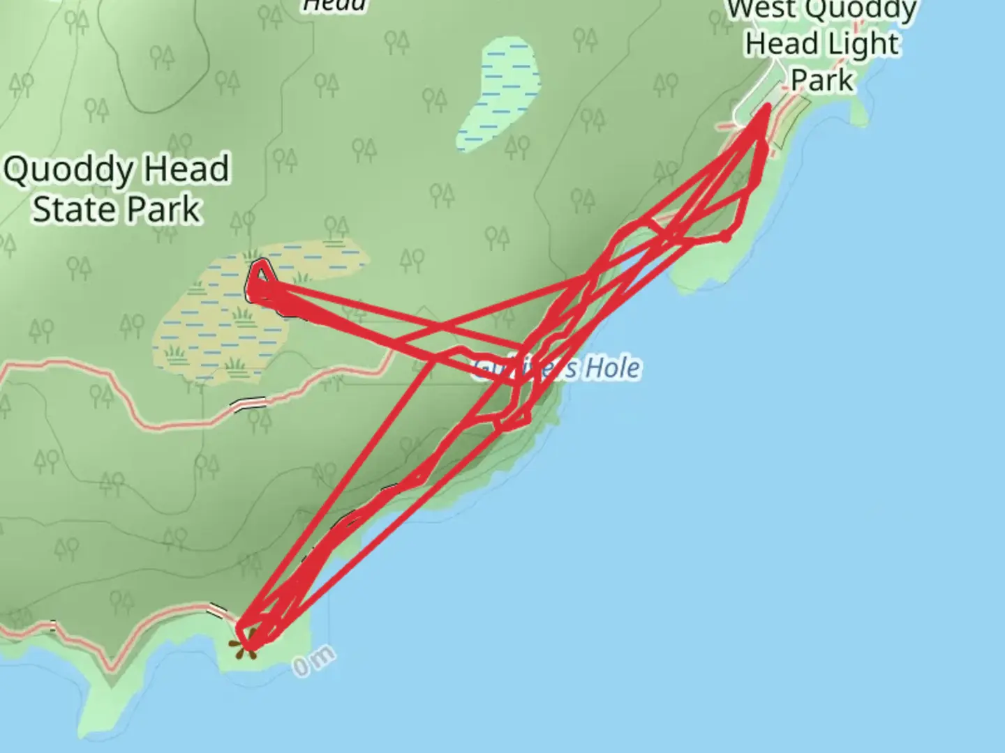 An image depicting the trail Gulliver Hole-Arctic Bog Trail and its surrounding area.