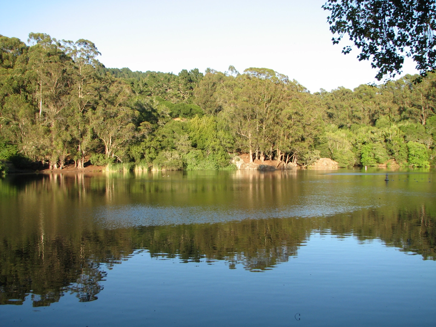 An image depicting the trail Lake Anza Loop and its surrounding area.