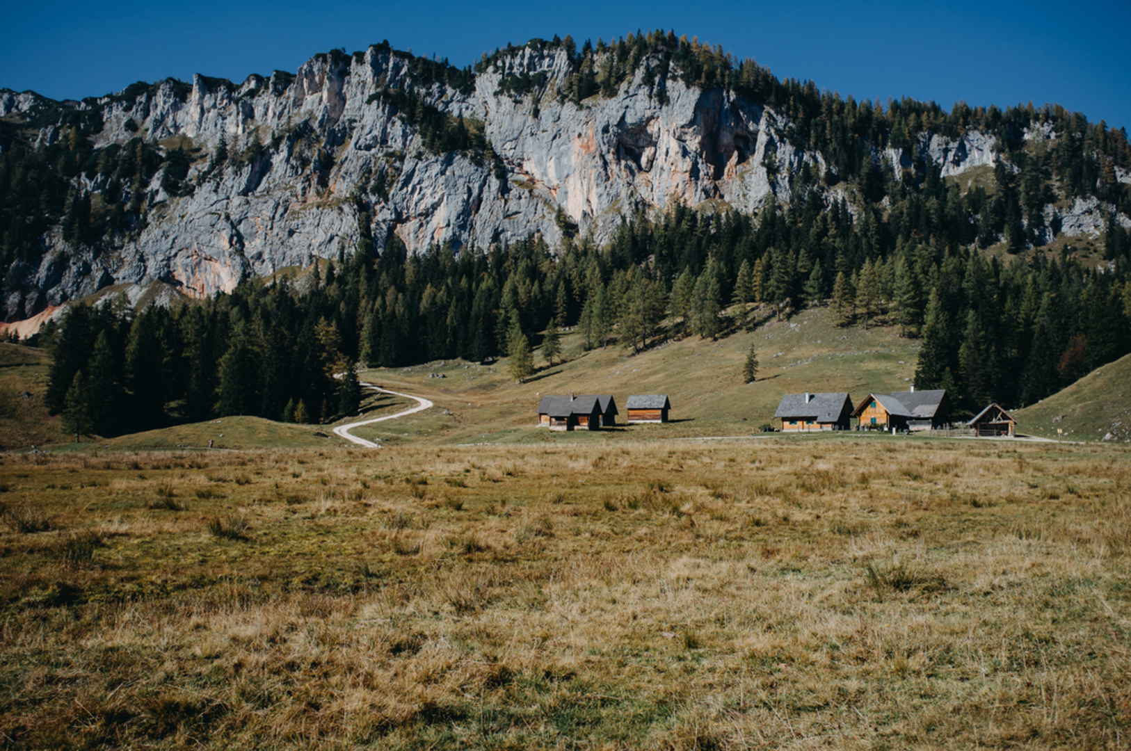 An image depicting the trail Dümlerhütte Trail and its surrounding area.