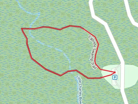 Cypress Swamp Loop Trail