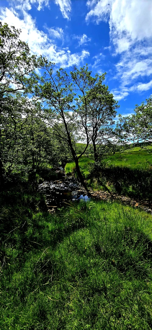An image depicting the trail Fontburn Reservoir Circular and its surrounding area.
