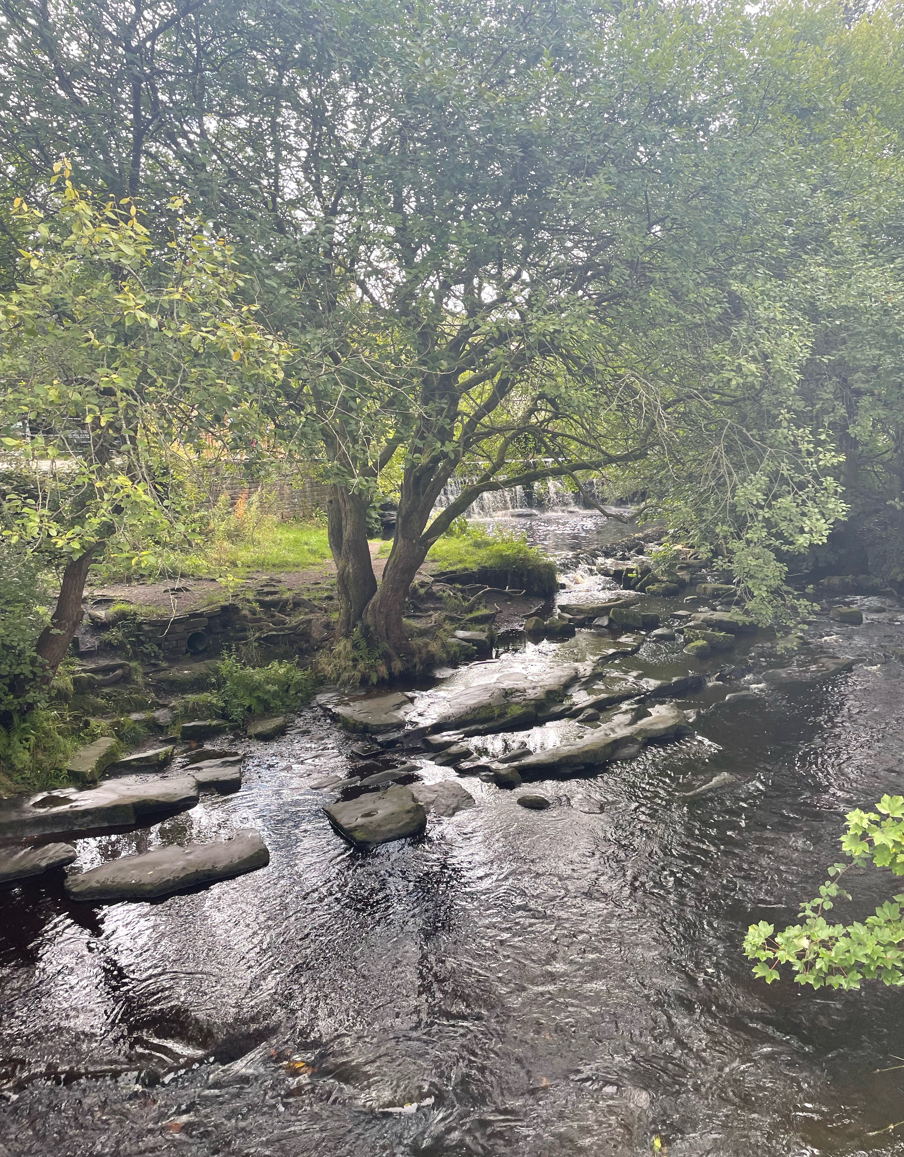 A map preview of the recording Marsden.