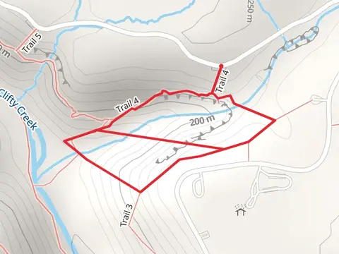 Big Clifty Creek View Loop