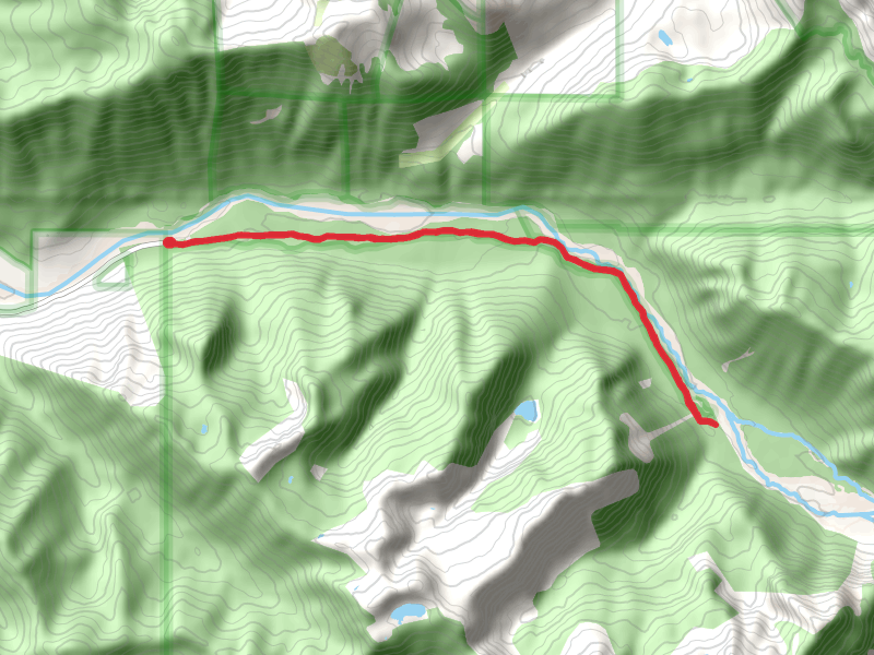 Ipsut Creek Campground via Carbon River Trail