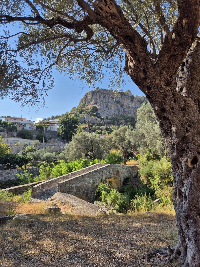 An image depicting the trail 2000 year-old Olive Tree to Old Bar Frortress and its surrounding area.