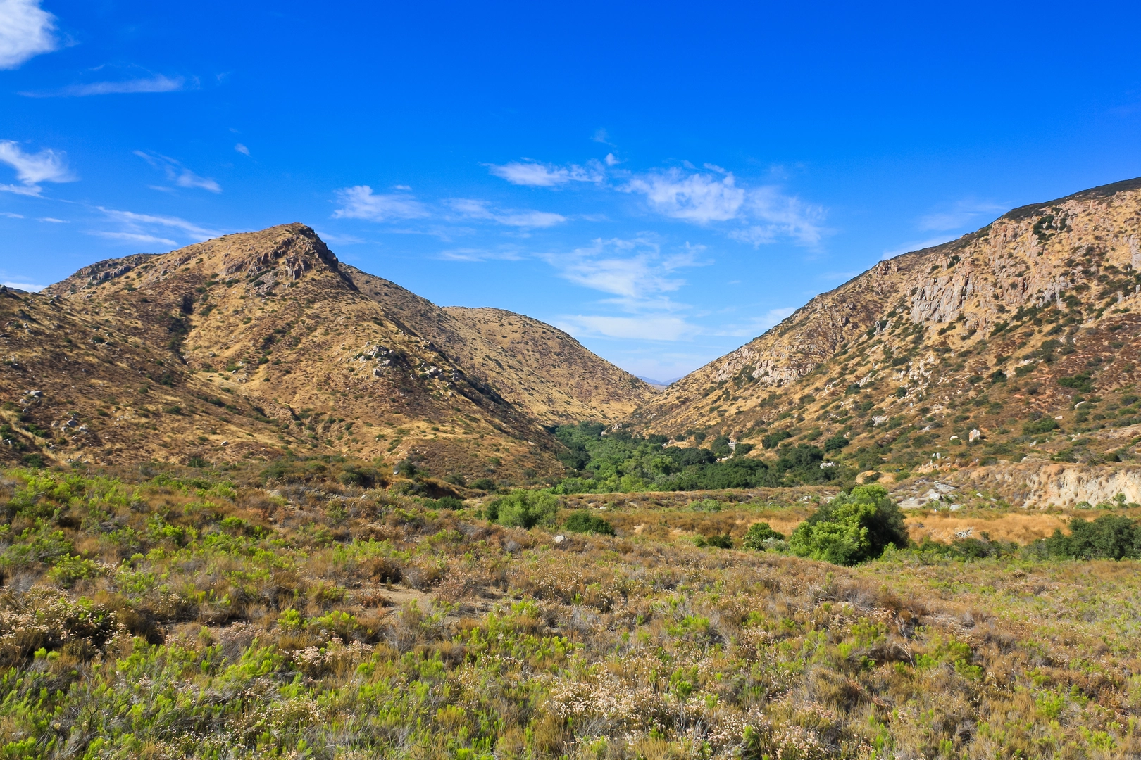 An image depicting the trail Spring Canyon and SDGandE Service Road Loop Trail and its surrounding area.